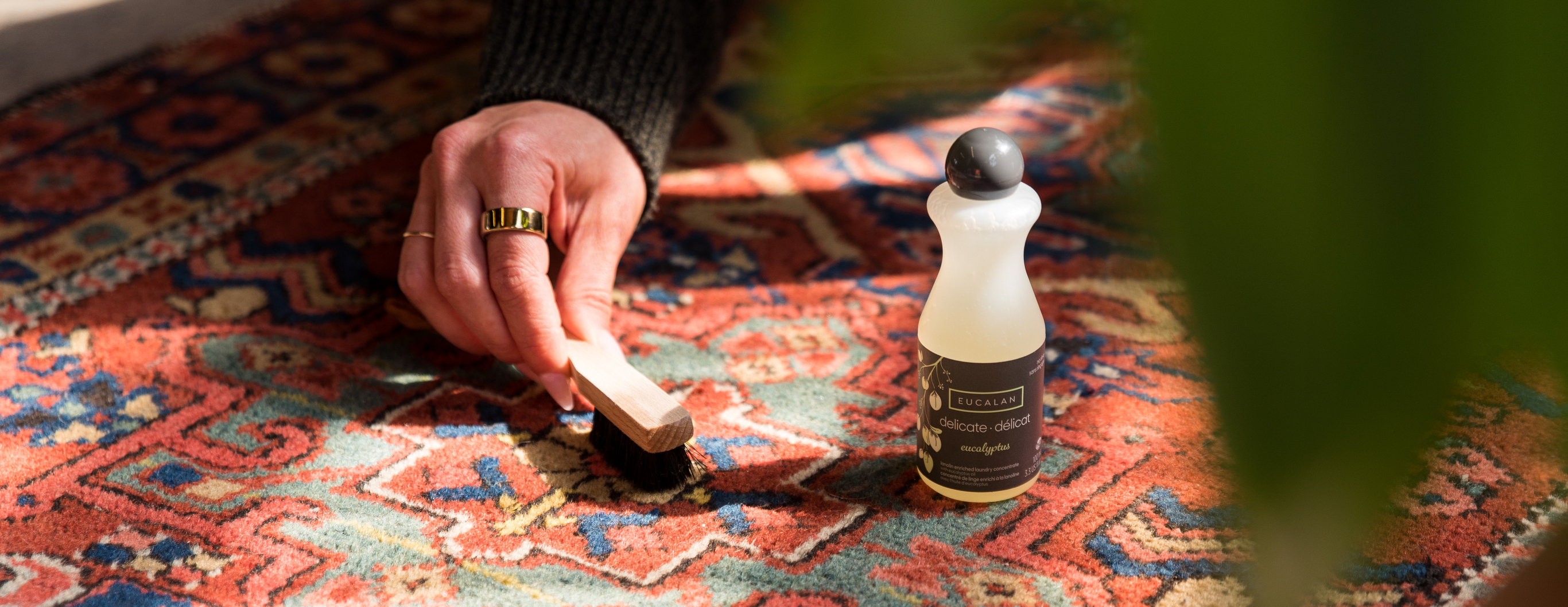 Spot Clean Rugs, Upholstery, and More